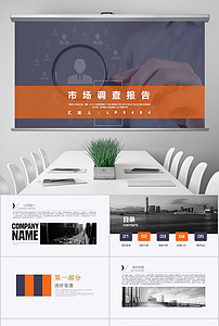 完整内容市调报告产品调研报告ppt模板下载(9