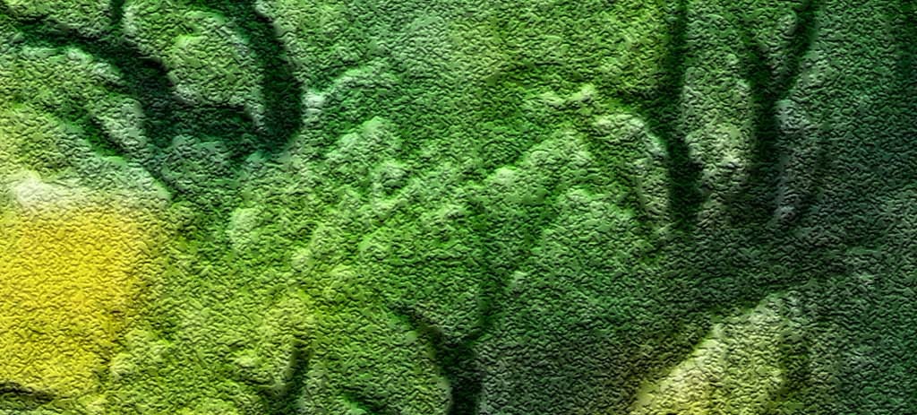 17738085-2c6f4a157a2c35b76f38d96b6dbd47cc-7.jpg