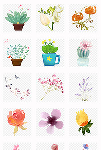 画小花小草简便 202x300a0a0