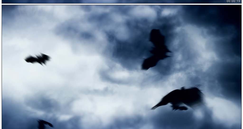 蝙蝠视频介绍 17763789-5cd81ae133f27fdc9af80a5e97a48ce3-3.jpg