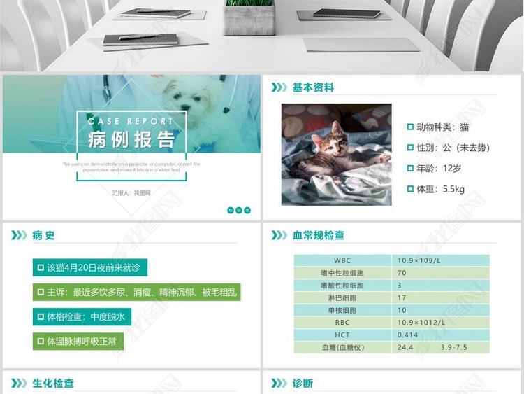 宠物病例报告ppt模板医院病例分析讨论汇报