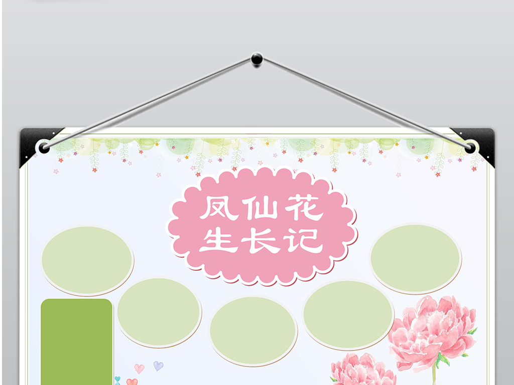 word电子小报凤仙花生长记植物观察日记