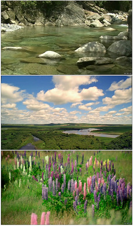 牧羊曲曲谱动态伴奏曲_牧羊曲曲谱