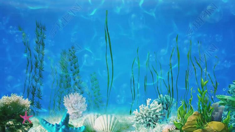 新版海草舞舞台背景视频