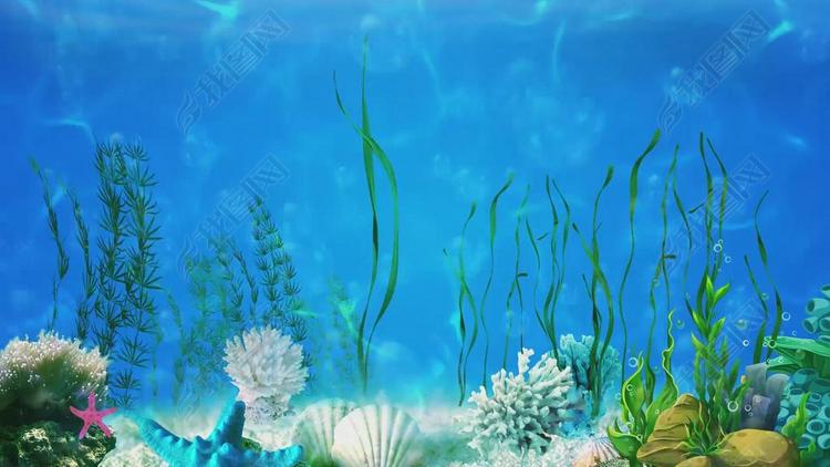 新版海草舞舞台背景视频