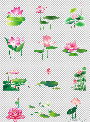 288x390a0a0