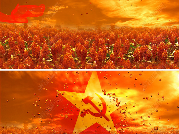 红高梁配乐视频背景