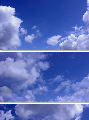 288x390a0a0