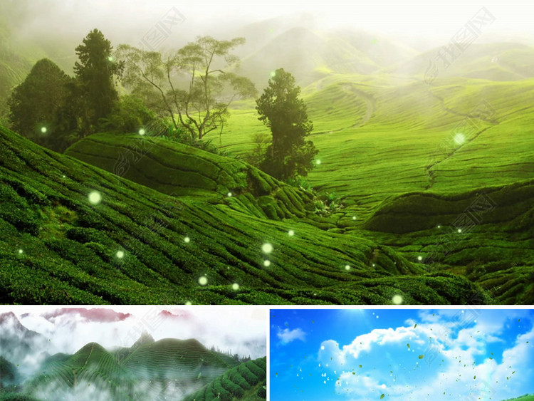 茶谷馨香配乐成品唯美梦幻茶文艺舞蹈背景视频