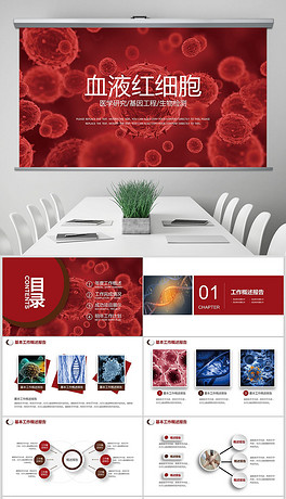 医疗血液血型检查输血会议报告PPT模板