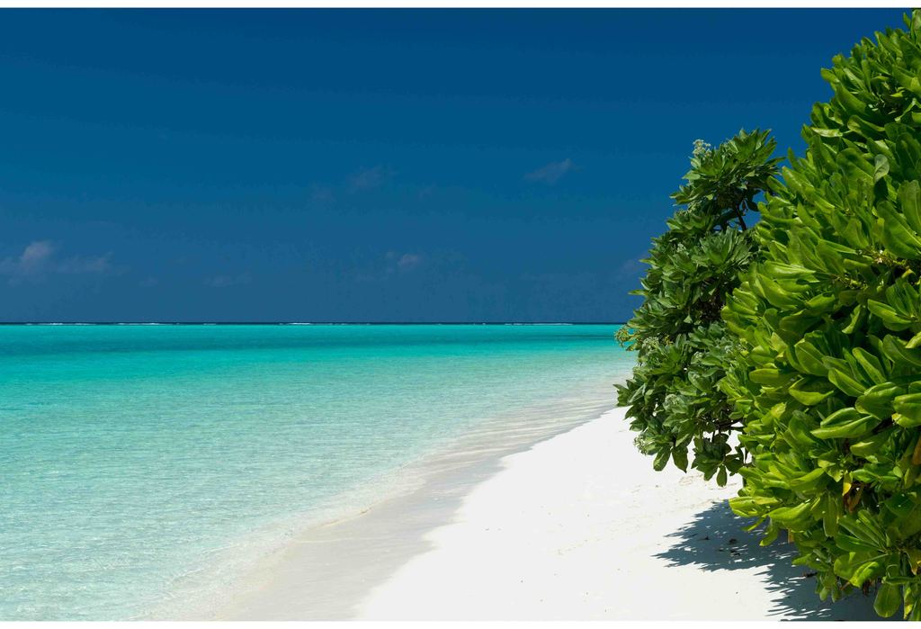 藍天大海 18382433-34c2ac7a1cb56e0a7074a296a189136f.jpg