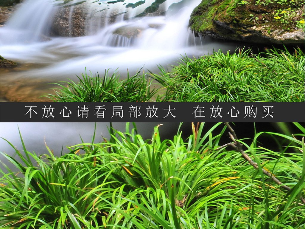 18382574-c2f2237d565ce029fcfef1261daa8abf-5.jpg