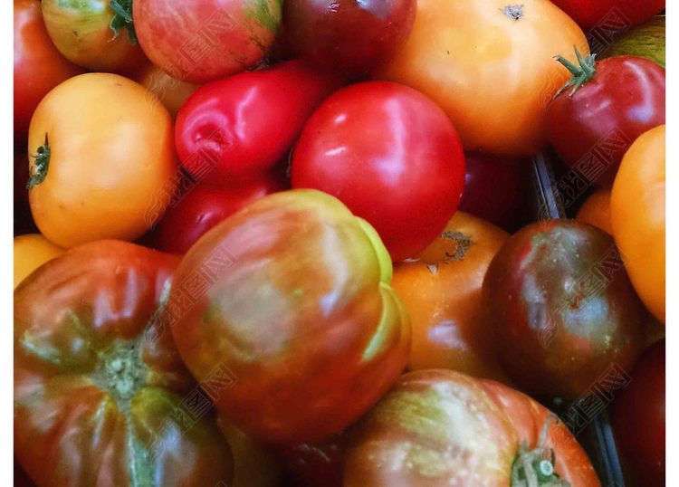 番茄圣女果西红柿果蔬绿色食品养生减肥营养摄