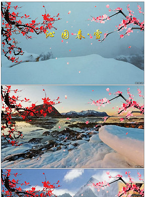 288x390a0a0