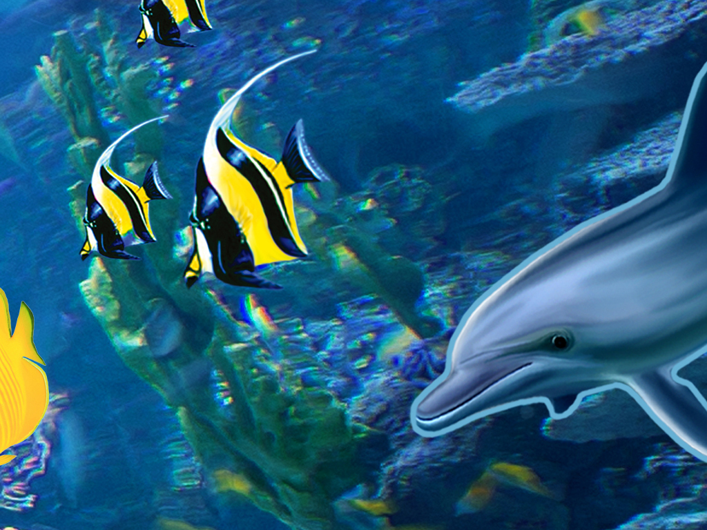 鲸鱼视频大全高清播放 18471501-67e7a4f15504e165935faf88a98a05a8-4.jpg