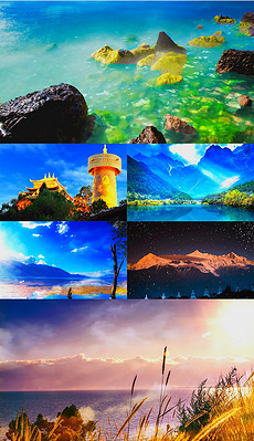 230x399a0a0