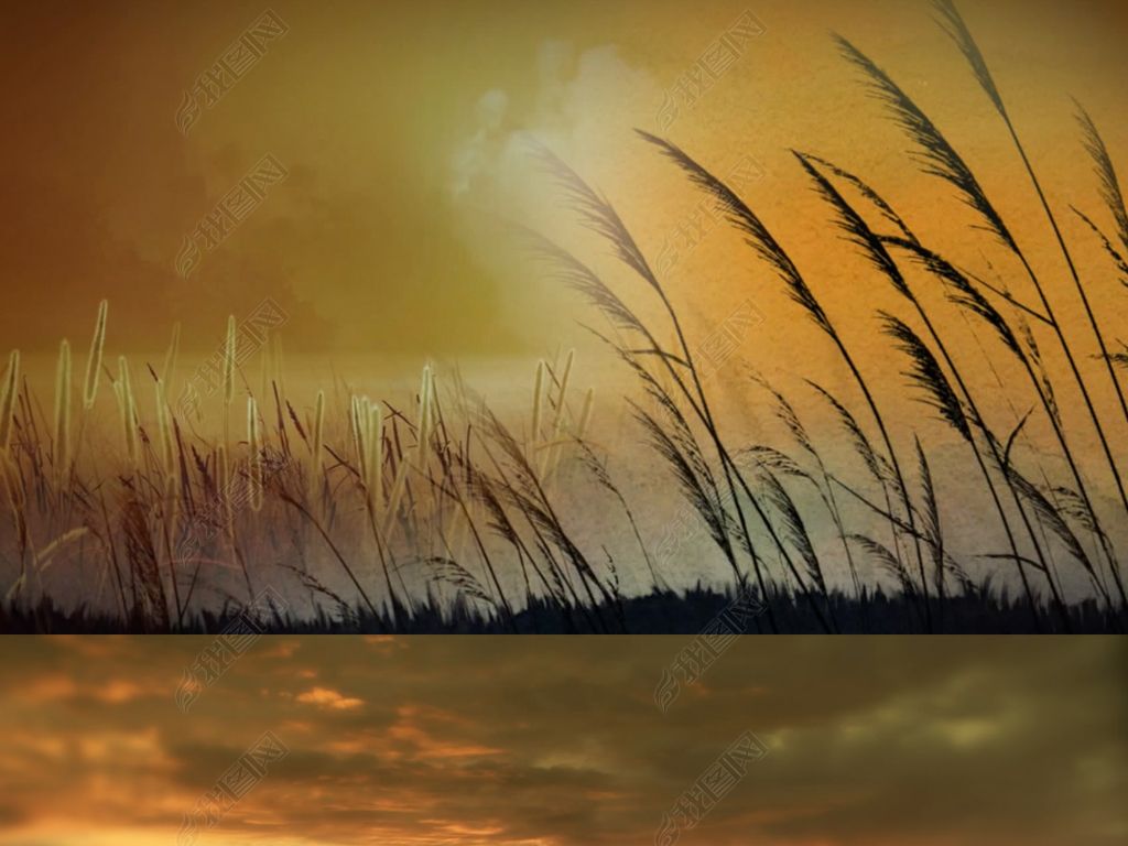 古筝渔舟唱晚舞台LED大屏背景视频素材