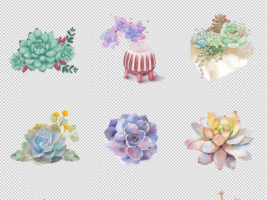 卡通手绘多肉植物水彩手绘多肉馆海报背景PNG素材