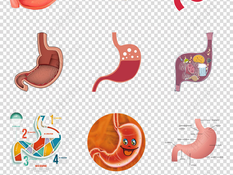 卡通人体器官胃绞痛胃炎胃医疗知识png