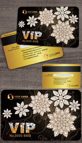 STFeVIP@ʯOӋ