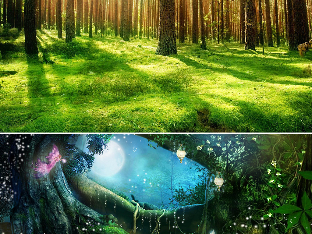卡通手绘绿色梦幻森林大自然海报banner背景