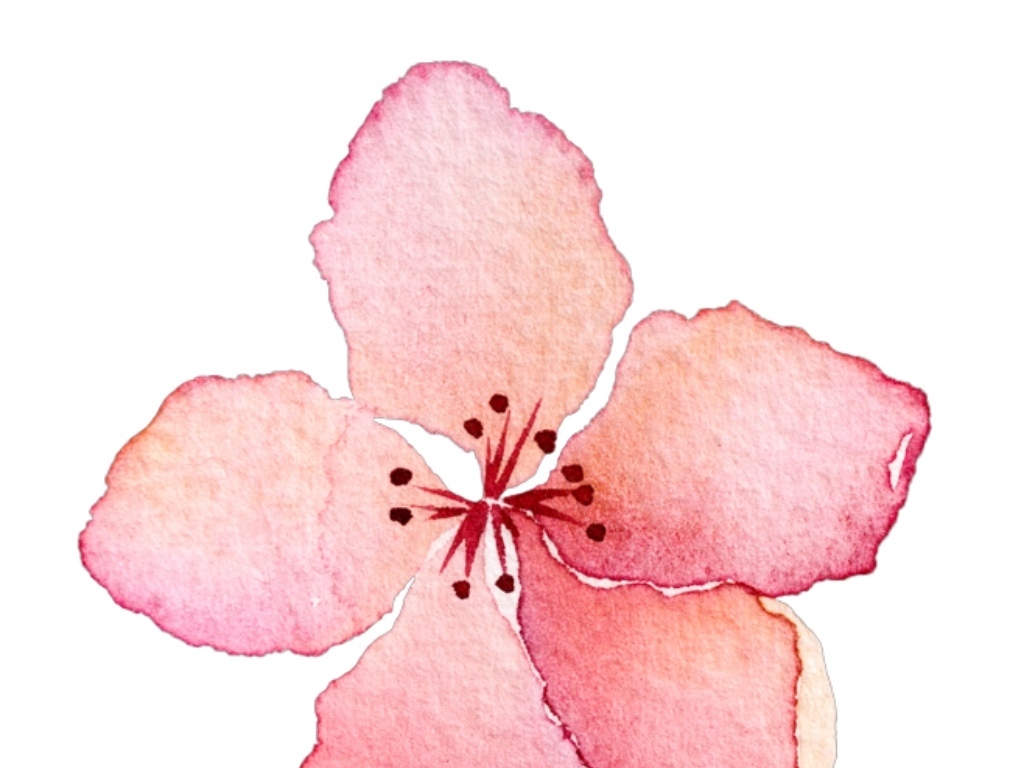 什么花什么绿成语_草什么花什么成语(3)