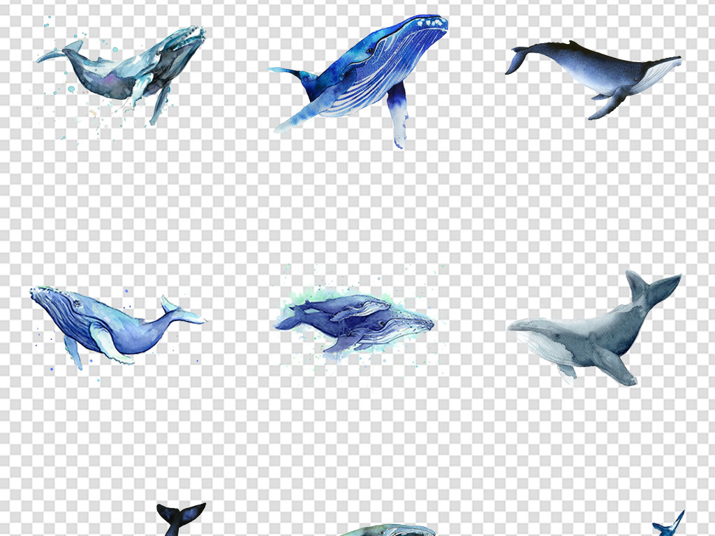 鲸鱼视频大全海底世界 18588615-e43576af608043eeaeb7eddaa393c3ab-1.jpg