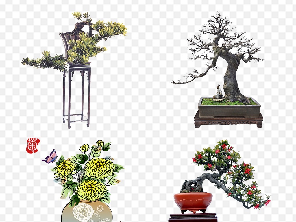 园林艺术盆景盆栽png