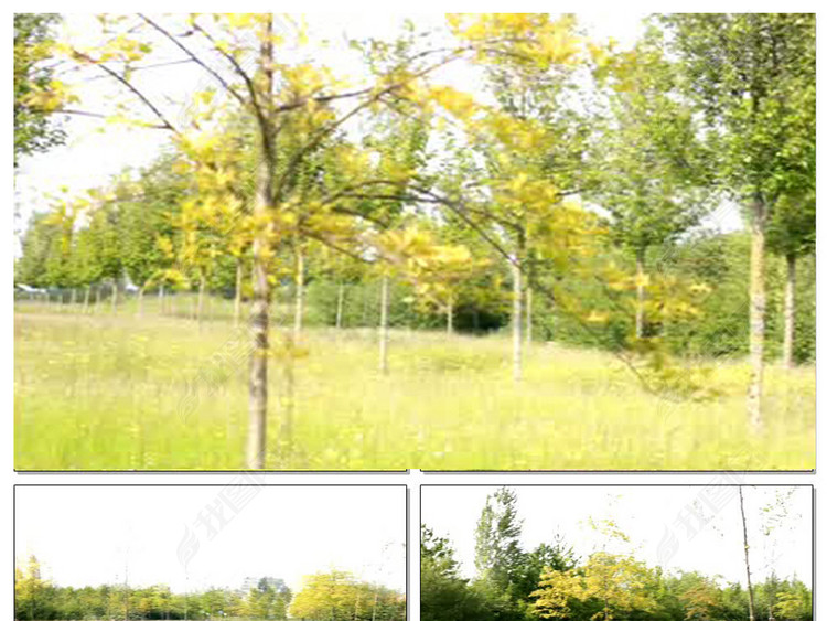 健康休闲绿色幸福生活实拍视频素材无水印