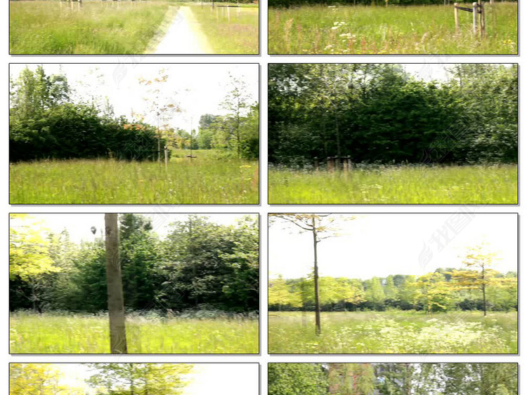 健康休闲绿色幸福生活实拍视频素材无水印