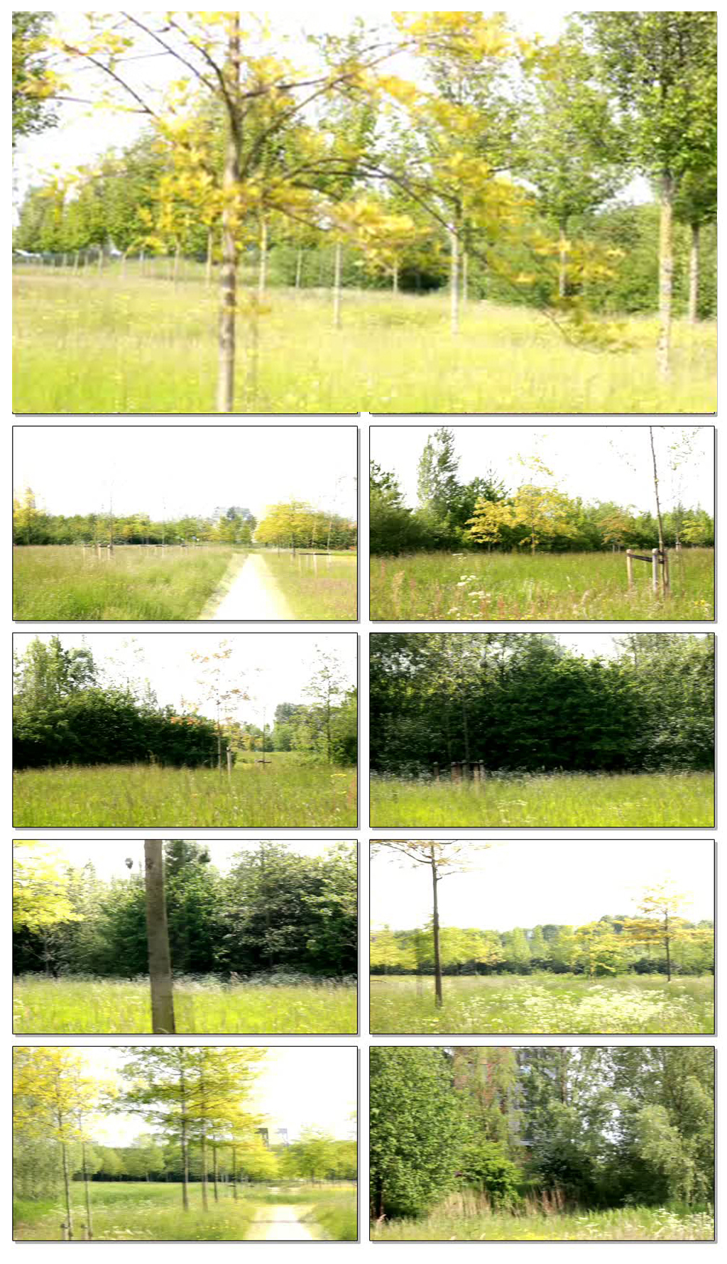 健康休闲绿色幸福生活实拍视频素材无水印