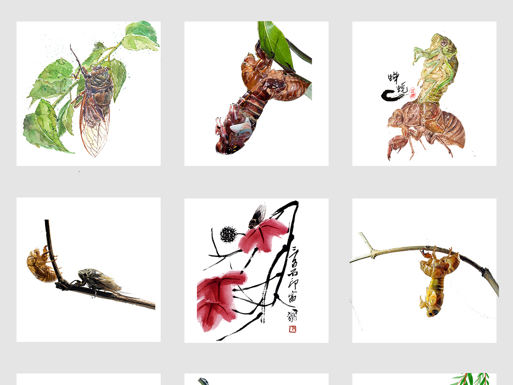 手知了猜成语_简单玉雕手绘图知了