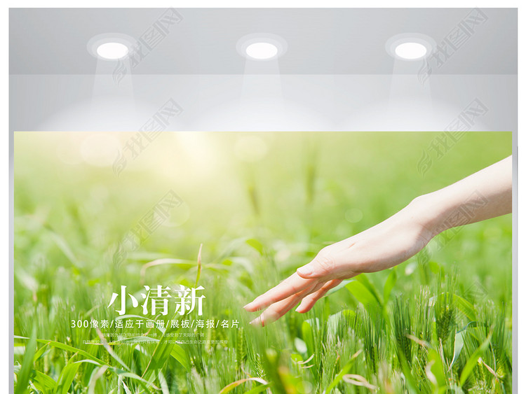 唯美小清新花草风景背景海报设计