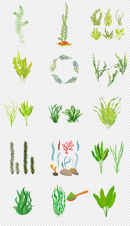 海草海草简谱_海草舞简谱