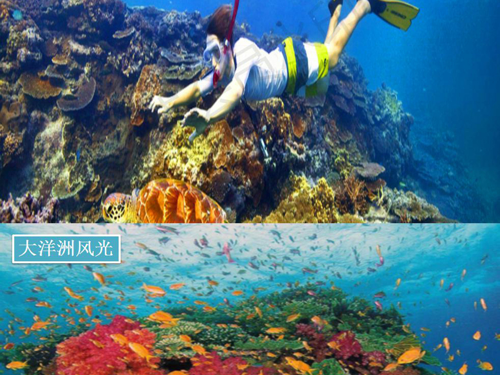 2019年趣味大洋洲简介教学PPT