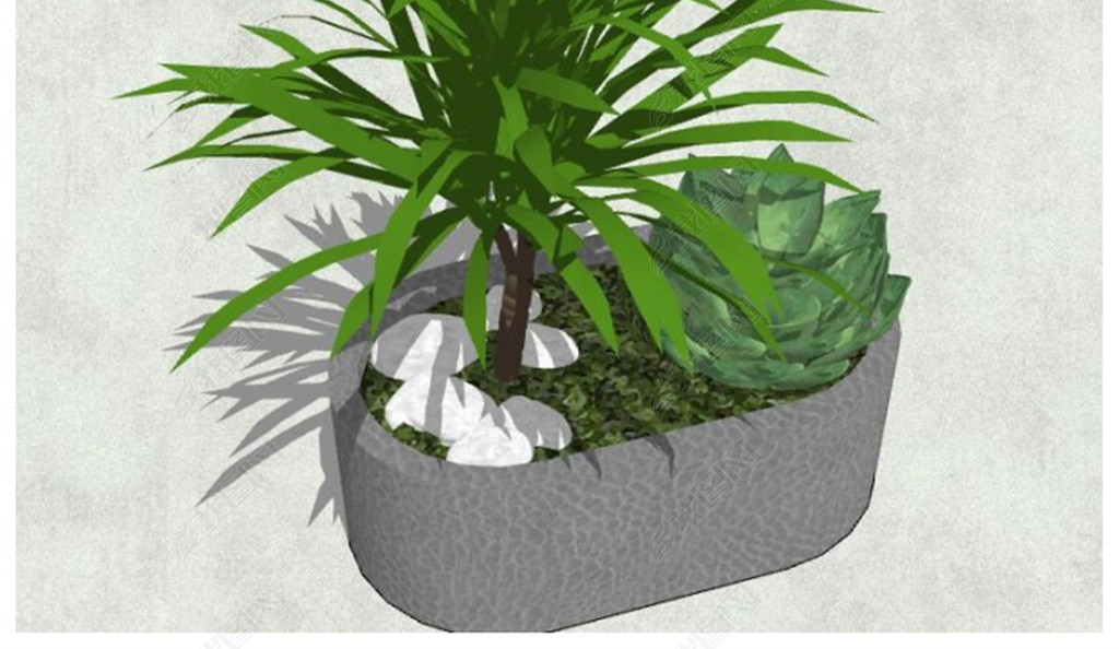 室内绿植小型盆栽 jpg