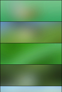 绿色加什么颜色能变蓝色 202x300a0a0