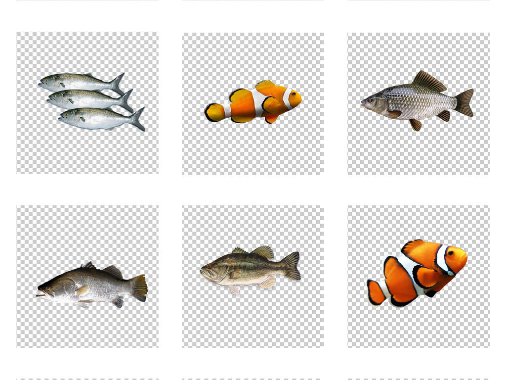 鱼图片卡通可爱 18688061-9d24cd1756c07f06641af8a431020709-5.jpg