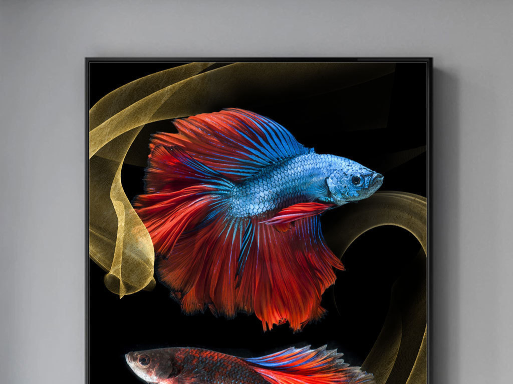 现代简约红蓝色斗鱼金色烟雾晶瓷画装饰画