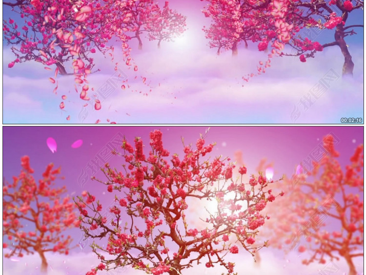 落花情现代舞蹈led大屏幕背景