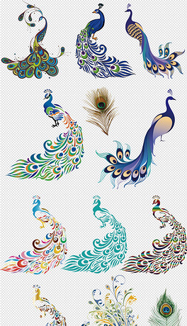 唯美孔雀矢量孔雀羽毛免抠素材