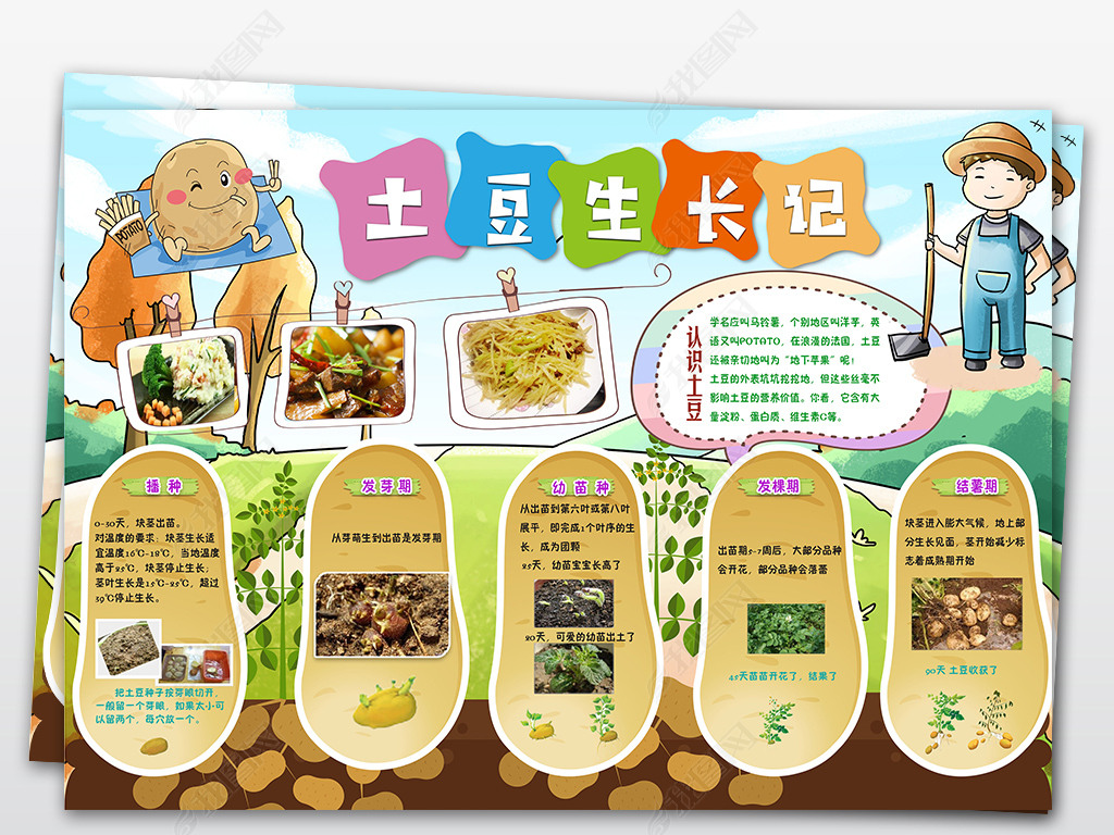 原创ps蔬菜土豆生长记科学科普观察日记手抄报小报版权可商用