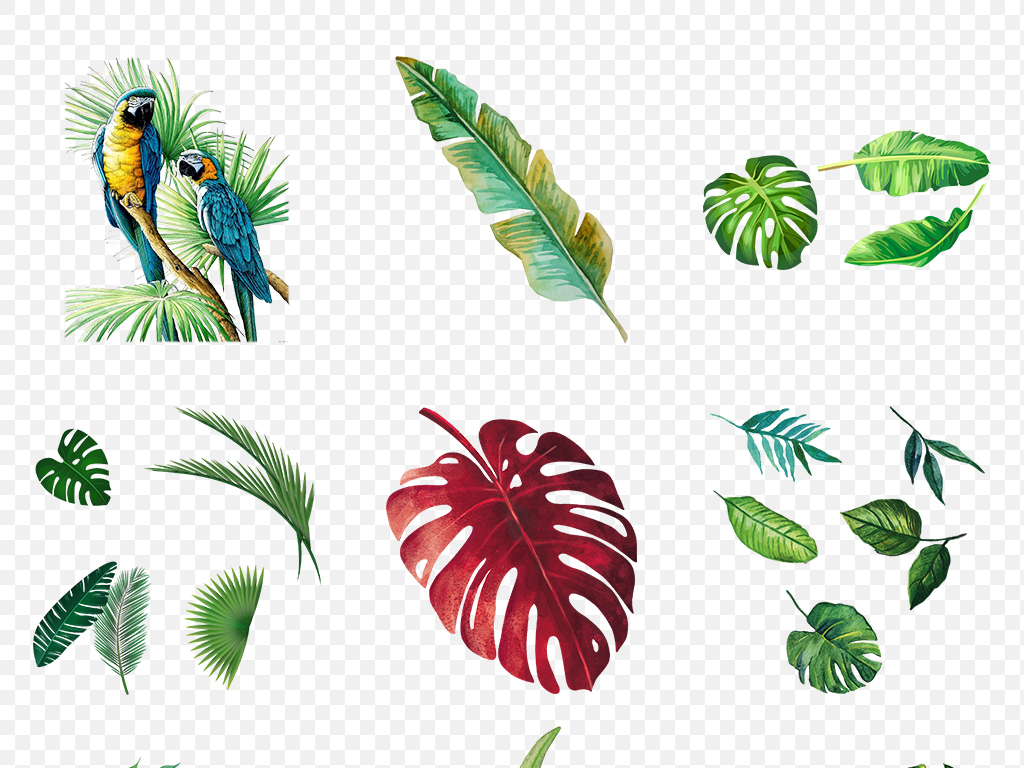 海报热带夏季树叶植物芭蕉叶软件叶子背景图片png手机有没有v海报3d素材图片