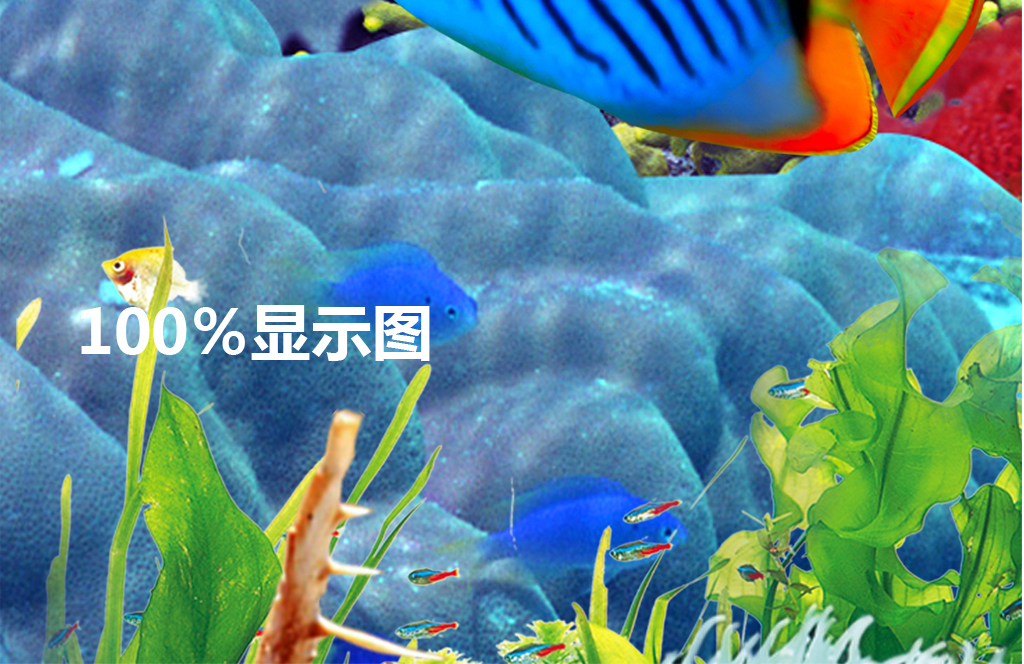 18736222-d88e1494339a69803cffb6b2c04f10a4-8.jpg