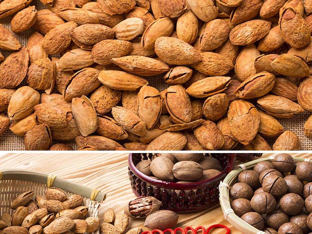坚果图片大全及名称介绍 18751377-a0e12c9ce60f2e42a164ba14768346d9-4.jpg