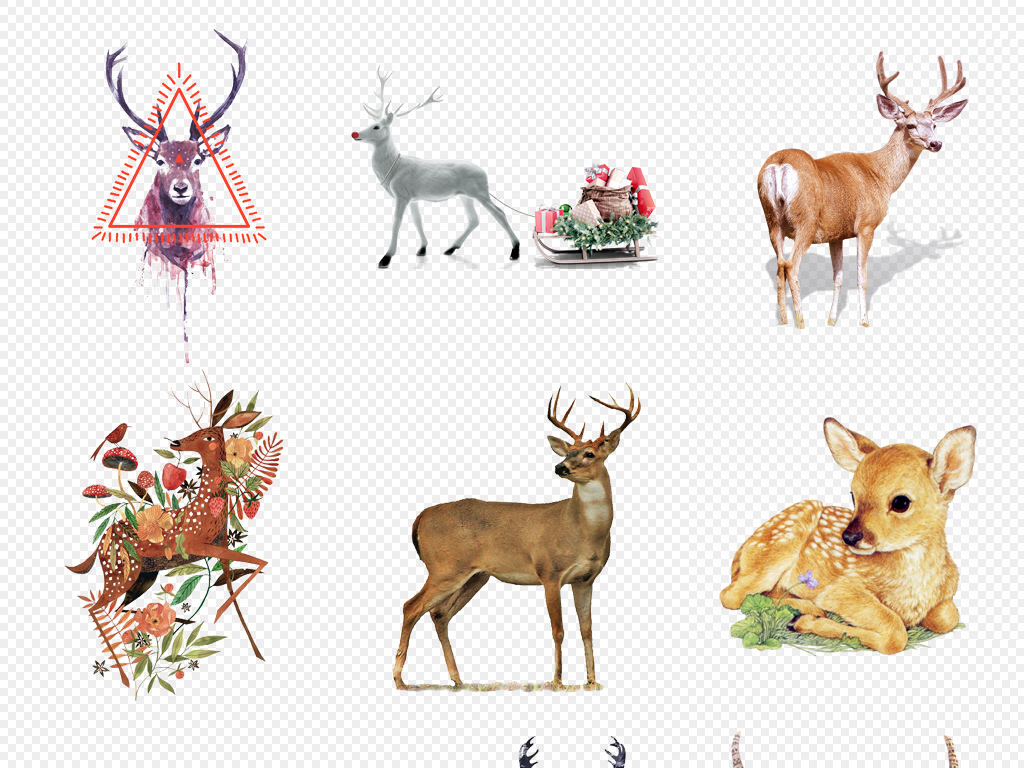 森系圣诞节北欧卡通写实手绘写实麋鹿彩鹿梅花