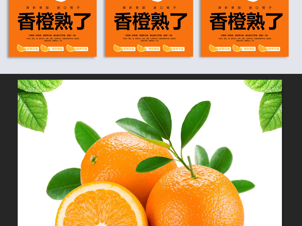 橙子图片大全图库 18770483-60b53538c54644082386a0878a440c92-2.jpg