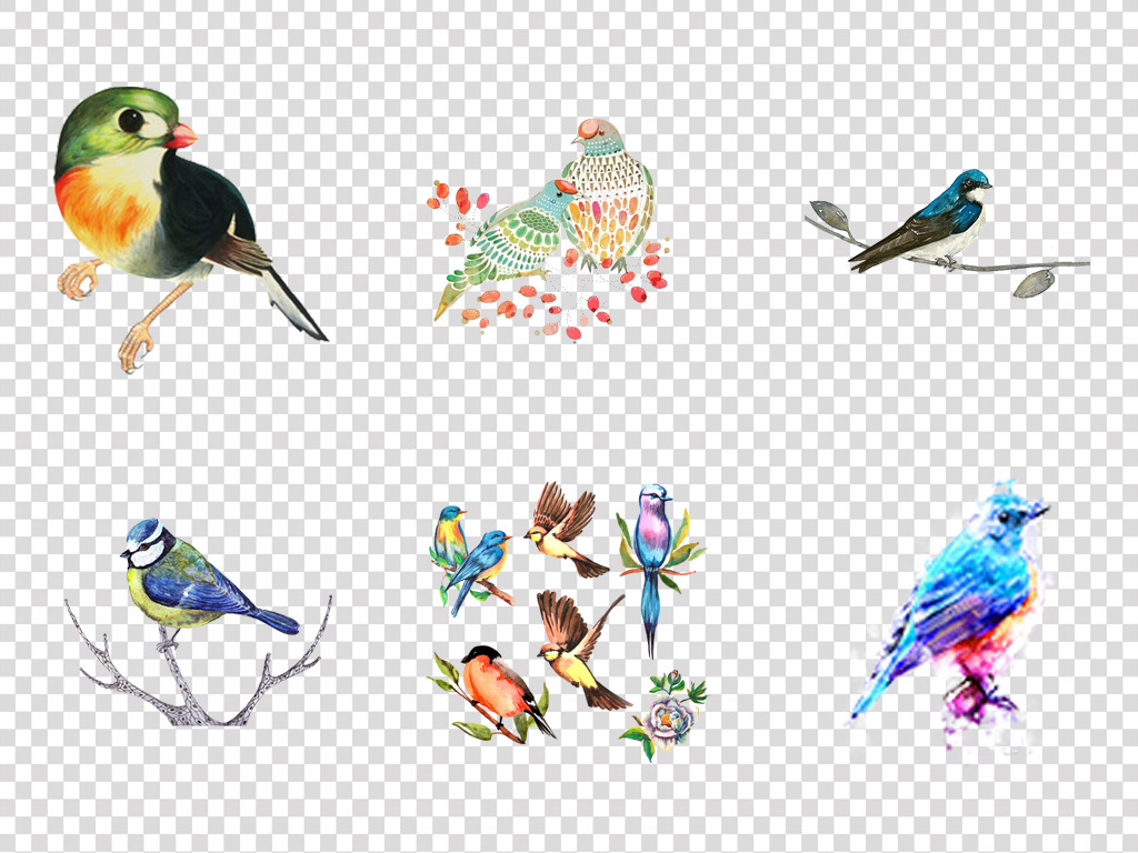 小鸟画什么颜色最好 18787856-71c230f56277e5ff1539057adbd3fd04-5.jpg