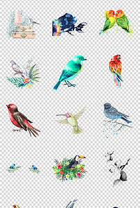 小鸟画什么颜色最好 202x300a0a0