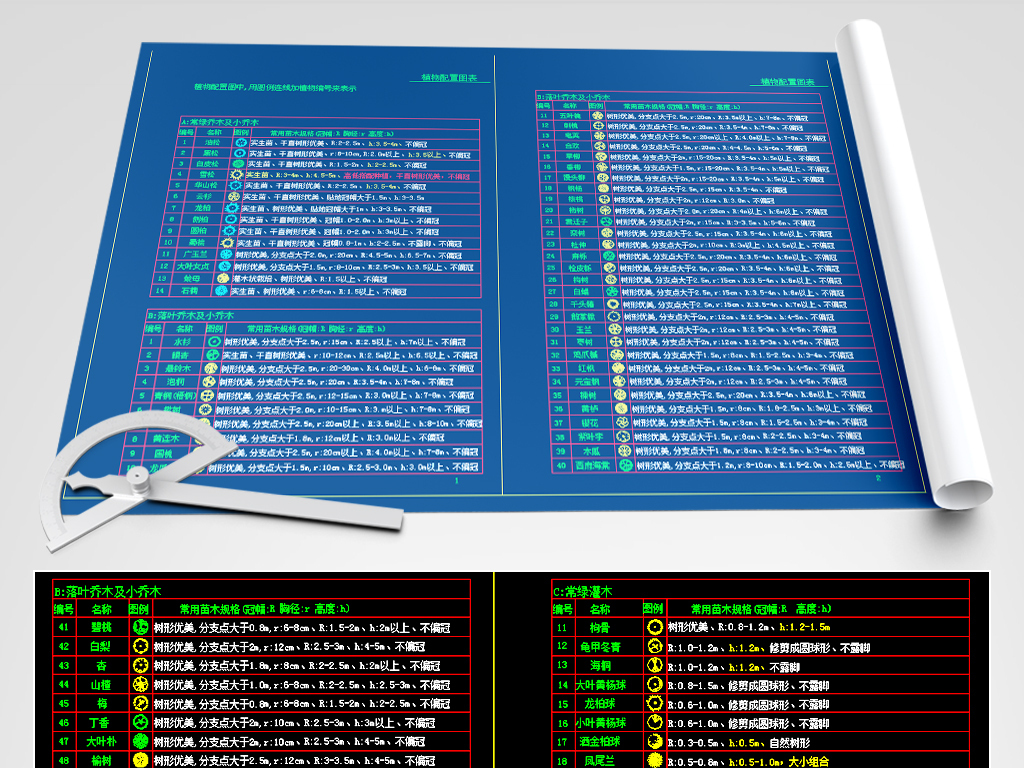 园林绿化常用CAD植物配置图例表